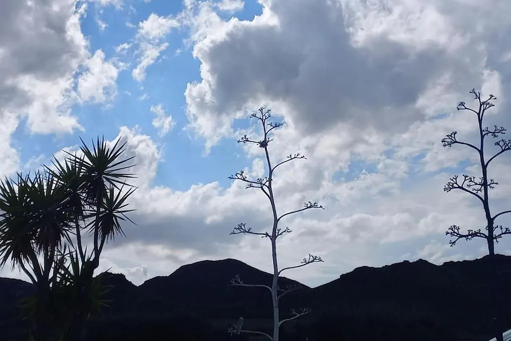 Villa Casa La Pita El Pozo de los Frailes